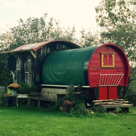 フローニンゲン De Oude Nadorst Bed & Breakfast エクステリア 写真